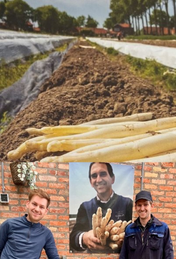 &Agrave; V&Eacute;LO VERS LES D&Eacute;LICIEUSES ASPERGES DE SPITSBROEK 
